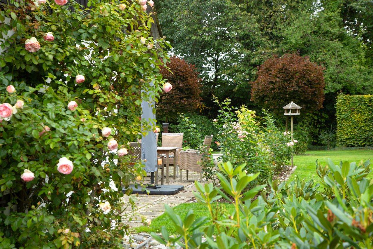 image 04